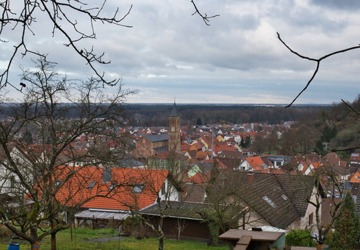 DSC 4703