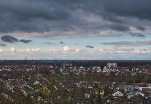 DSC 4706
