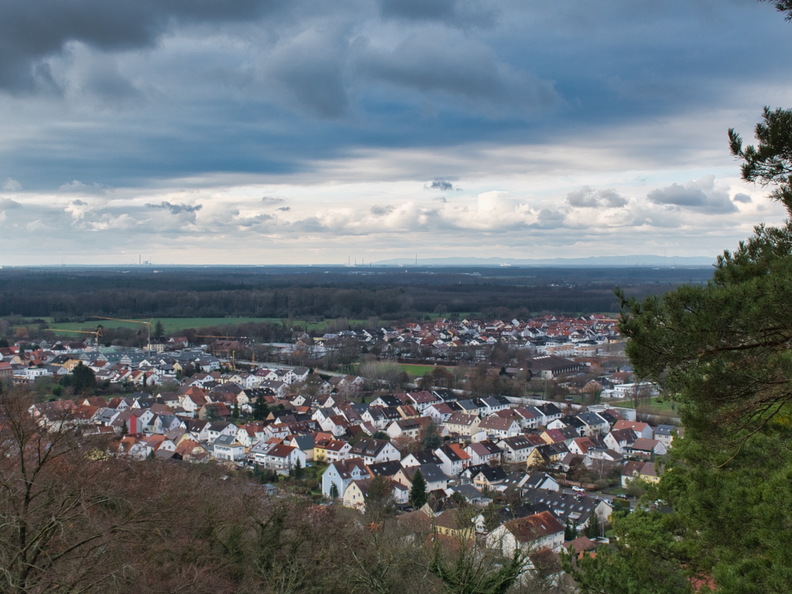 DSC 4708