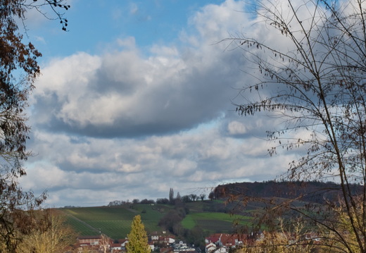 DSC 4731