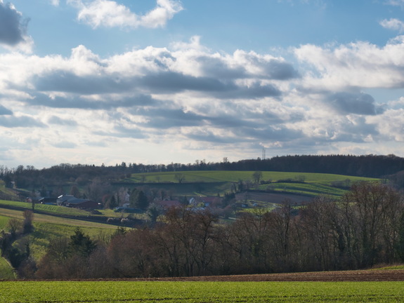 DSC 4733