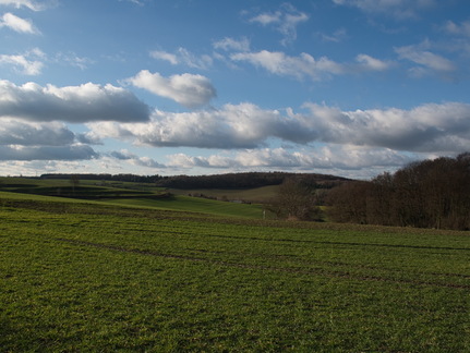 DSC 4737