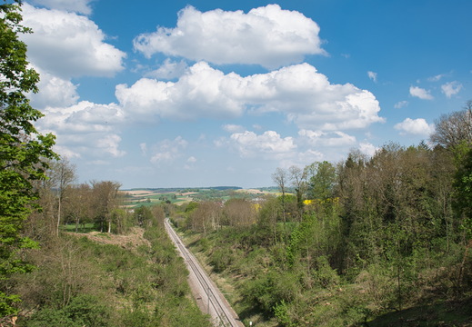 DSC 3451