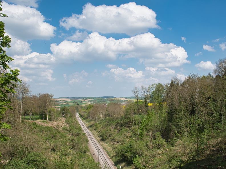 DSC 3451