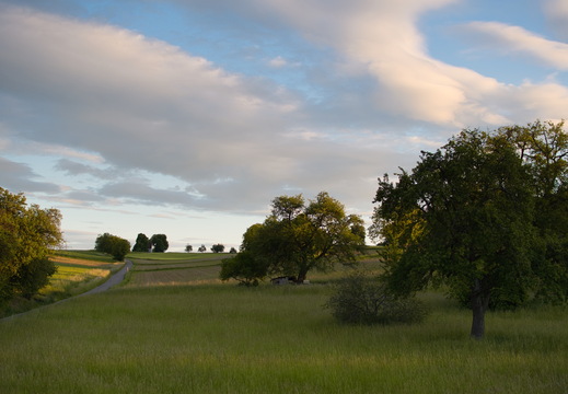 DSC 3583
