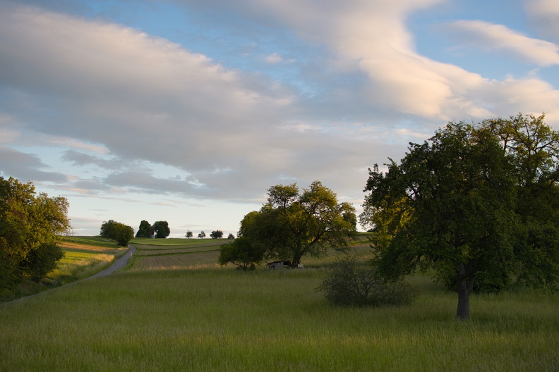 DSC_3583.jpeg