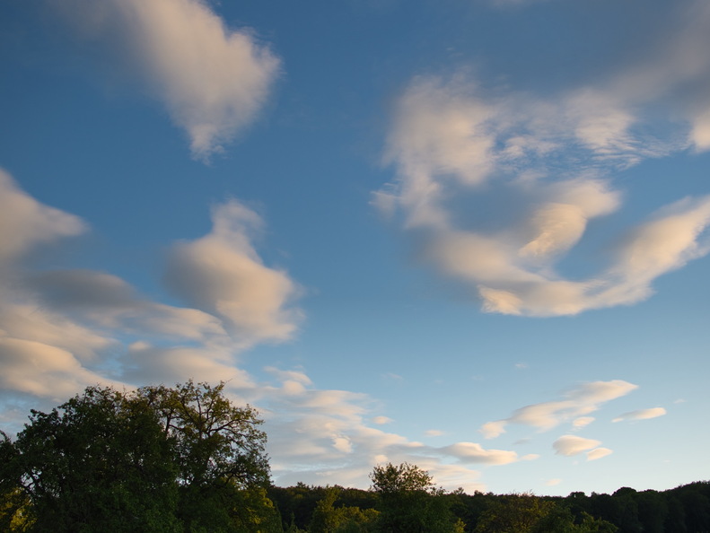 DSC 3587