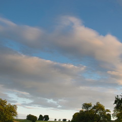 DSC 3589