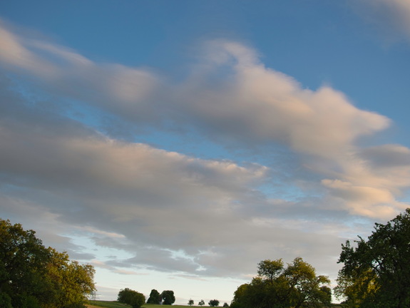 DSC 3589