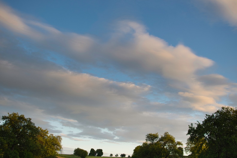 DSC_3589.jpeg