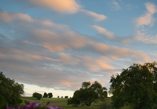 DSC 3594