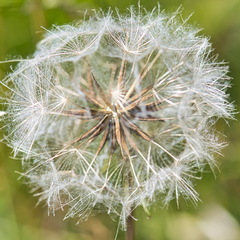 DSC 3954