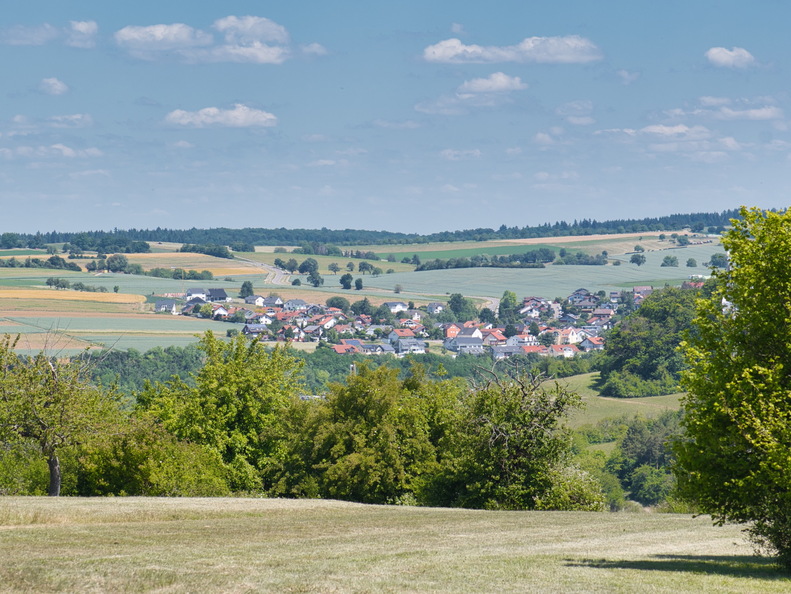 DSC 3962
