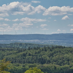 DSC 3967
