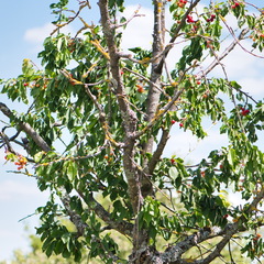 DSC 3973