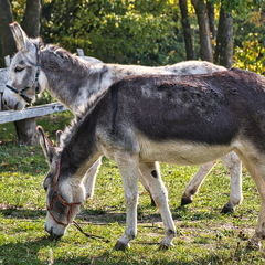 DSC 4357