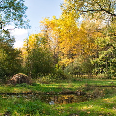DSC 4361