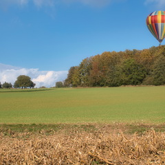 DSC 4367