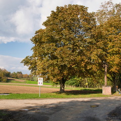 DSC 4368