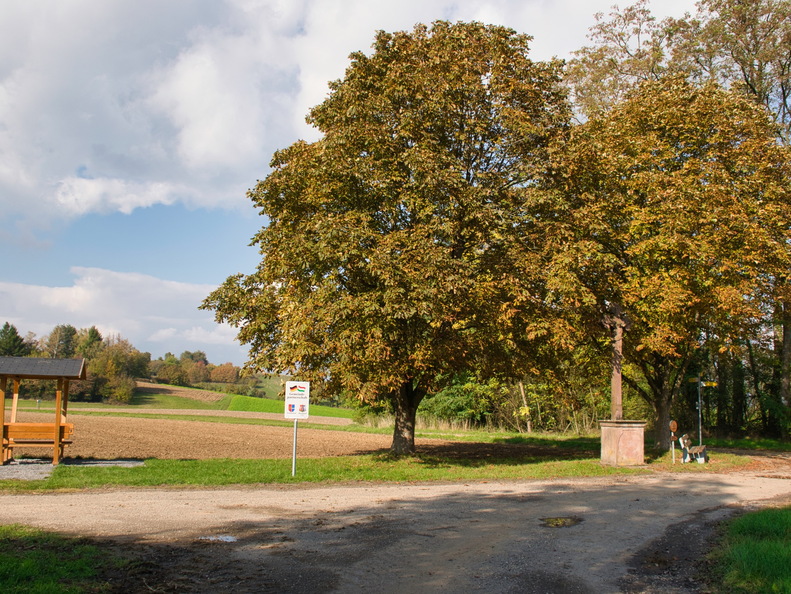 DSC 4368