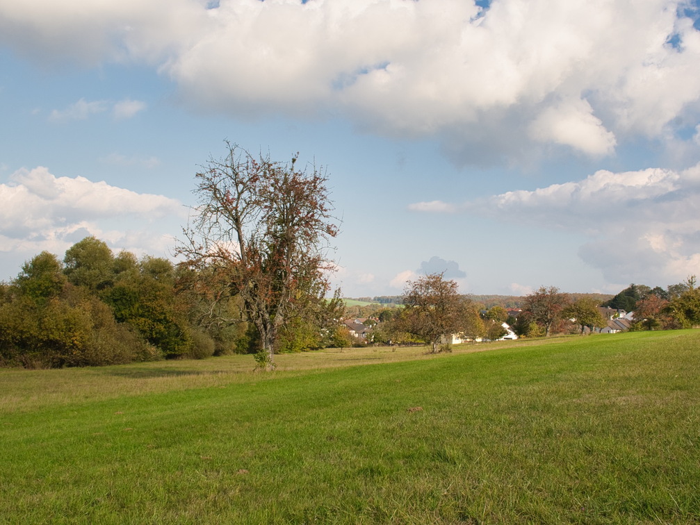 DSC 4369