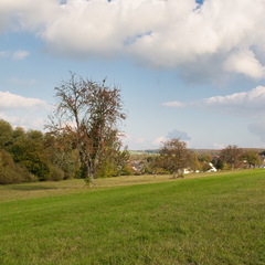 DSC 4369