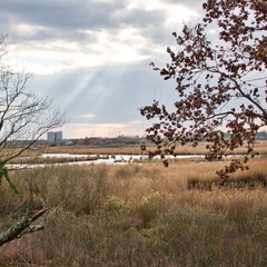 DSC 3181