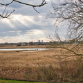 DSC_3184.jpeg