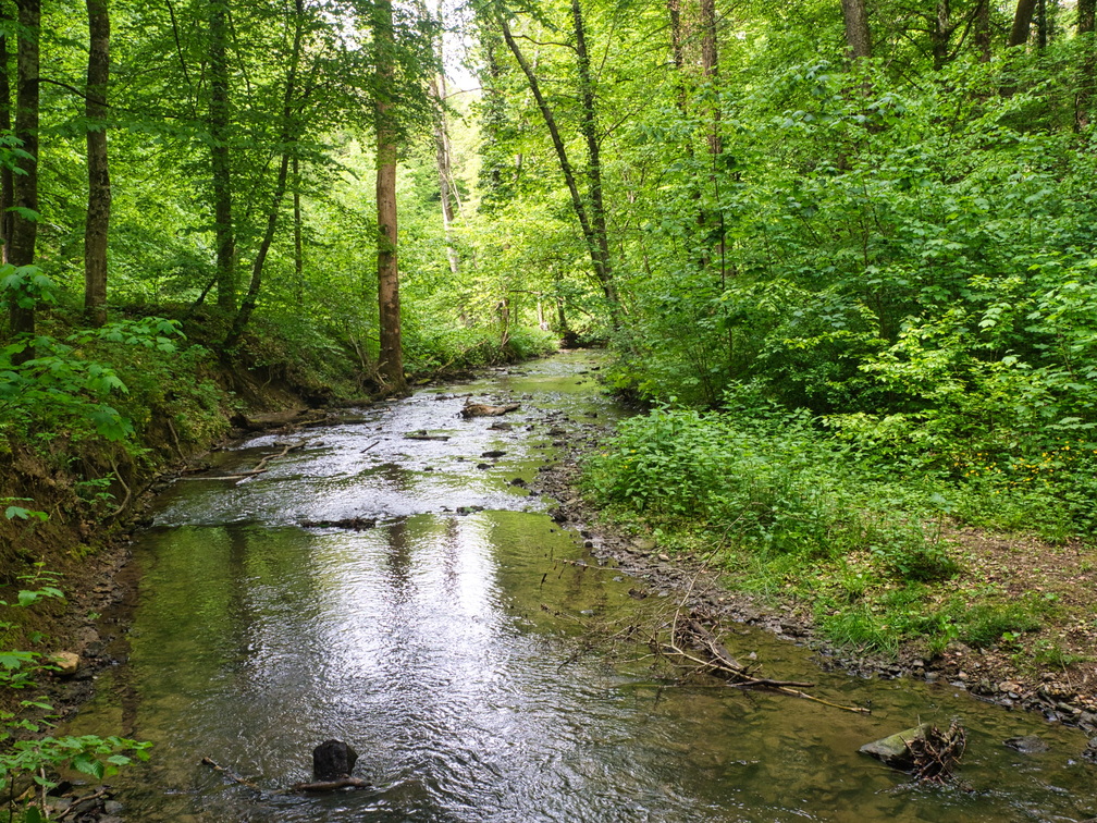 P5240100