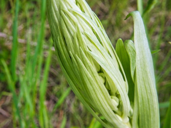 P5140107