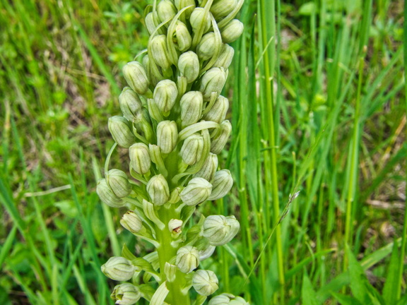 P5140108