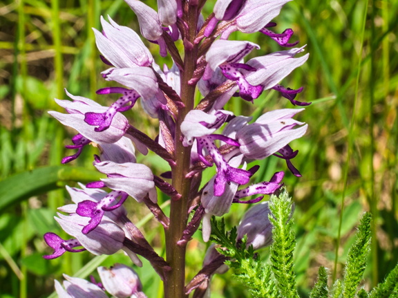 P5140152