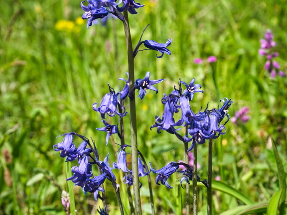 P5140182
