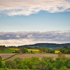 P5210124