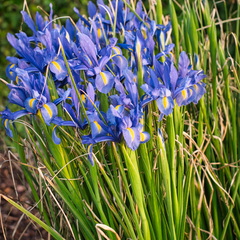 P5210211