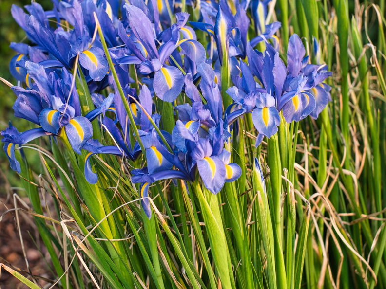 P5210211