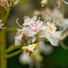 P5210019