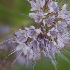 P5210055