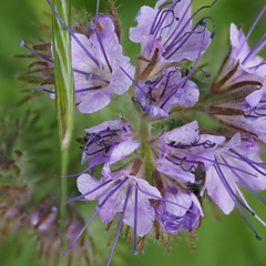 P5210082