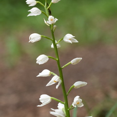 P5210101