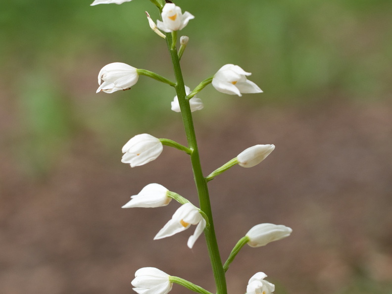 P5210101