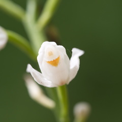 P5210111