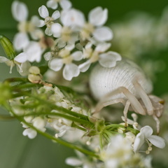 P5210128