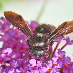 P8200021