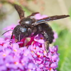 P8200030