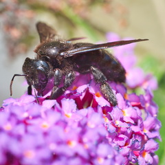 P8200032