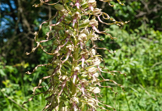 P5310030