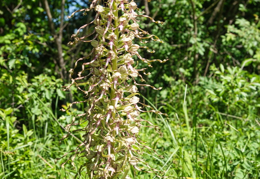 P5310031
