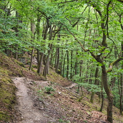 P6280034