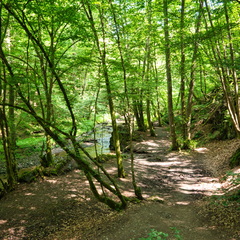 P6280049
